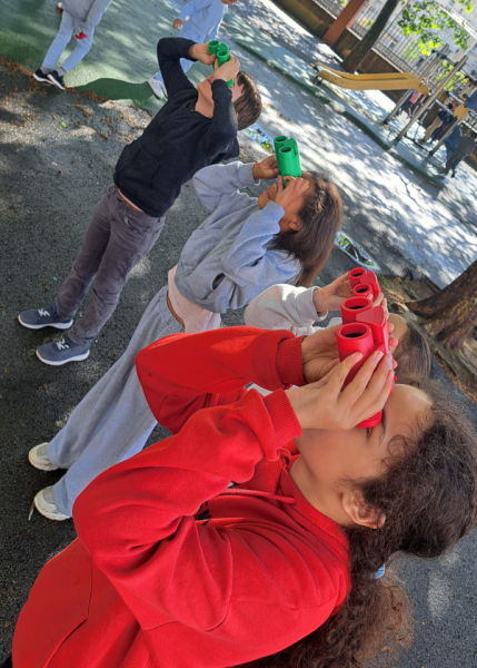 Observation aux jumelles des oiseaux &copy; Christophe Lopez